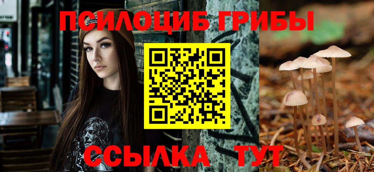 Галлюциногенные грибы MAGIC MUSHROOMS Нижнеудинск